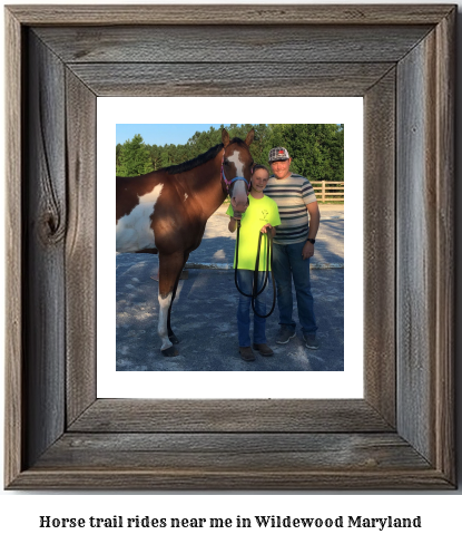 horse trail rides near me in Wildewood, Maryland